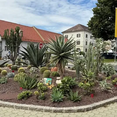 Św. Wit – Stolica się nie poddaje
